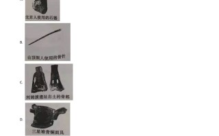 山东省东营市202 1年中考历史试题-【免费下载】