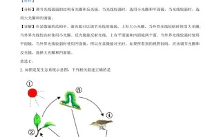 2022年辽宁省营口市中考生物真题-【免费下载-高清无水印】【中考真题电子版可打印】