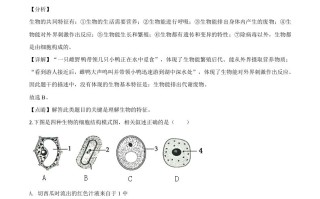 山东省滨州市20 20年中考生物试题-【免费下载】