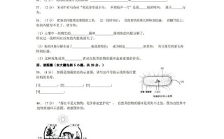 八年级生物期末试卷1-2卷北师大版-【免费下载-高清无水印】【生物电子版可打印】