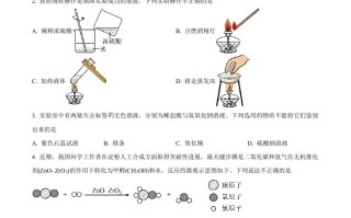 2023年山 东省枣庄市中考化学真题-【免费下载】