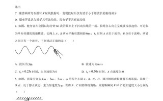 2024年高考物理试 卷-【免费下载】