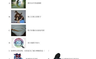 2023年北 京市中考物理试题-【免费下载】