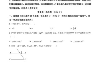 2023年四川省泸州 市中考数学真题-【免费下载】