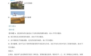 2020年山东省枣庄市中考物理试题-【免费下载-高清无水印】【中考真题电子版可打印】