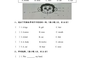 一年级英语册期末练习-【免费下载-高清无水印】【英语电子版可打印】