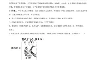2 022年高考生物试卷-【免费下载】