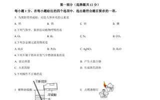 北京市2020年中考化学试题-【免费下载-高清无水印】【中考真题电子版可打印】