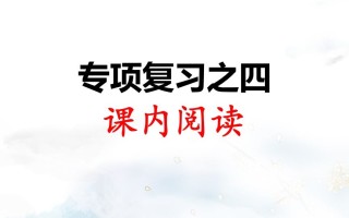 二年级语文册专项复习之四课内阅读-【免费下载-高清无水印】【语文电子版可打印】