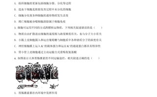 2021 年高考生物试卷-【免费下载】
