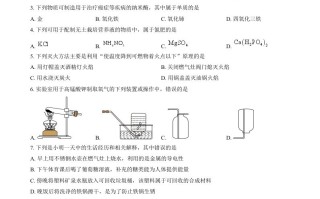 2024年福建省中考化学真题 -【免费下载】