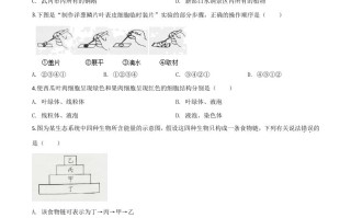 湖 南省邵阳市2020年中考生物试题-【免费下载】