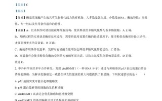 2023年高考生物试卷 -【免费下载】