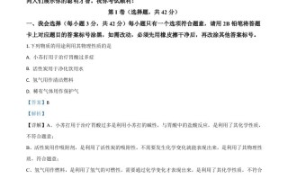 广西贵港市20 20年中考化学试题-【免费下载-高清无水印】【中考真题电子版可打印】