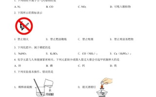 2 022年广西北部湾经济区中考化学真题-【免费下载】