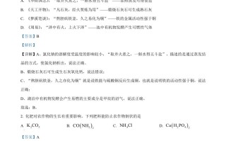 2023年山 东省潍坊市中考化学真题-【免费下载-高清无水印】【中考真题电子版可打印】