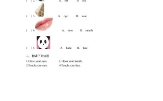 三年级英语册Unit3《Lookatme!》第2课时同步练习-【免费下载-高清无水印】【英语电子版可打印】