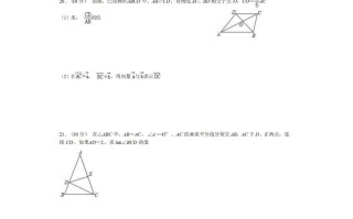 九年级数学期中试卷3-2卷沪教版-【免费下载-高清无水印】【数学电子版可打印】