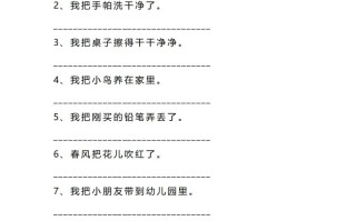 二语文把字句.被字句互改专项练习-【免费下载-高清无水印】【语文电子版可打印】