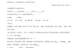 浙江省绍兴市2020年中考语文试 题-【免费下载】