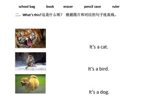 一年级英语册第一到第三单元测试-【免费下载-高清无水印】【英语电子版可打印】