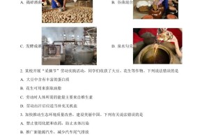 202 4年安徽省中考化学真题-【免费下载】