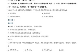 2023年湖南省邵阳市中考化学真题 -【免费下载】