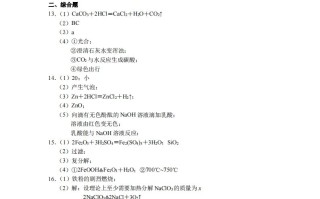 2024广东省深圳中考化学 答案-【免费下载】