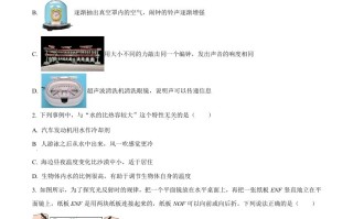 2024年湖北省武汉市中考物理试题 -【免费下载】