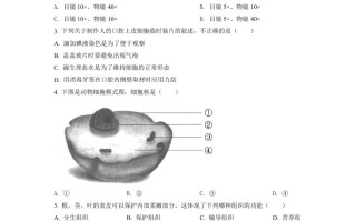 202 2年云南省中考生物真题-【免费下载】