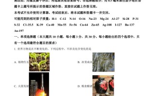 2022年山东省济南市中 考化学真题-【免费下载】