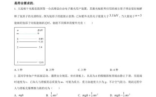 2024年高 考物理试卷-【免费下载】