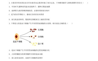 2022年湖北省恩施州中考 生物真题-【免费下载-高清无水印】【中考真题电子版可打印】