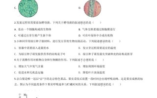 北京市2020年八年级中考生物试题-【免费下载-高清无水印】【中考真题电子版可打印】